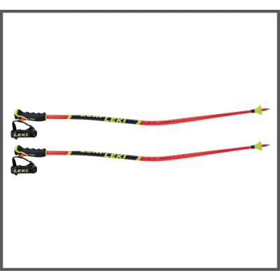 Leki WCR GS JR 2020/21 – Zbozi.Blesk.cz