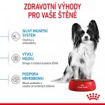 Royal Canin X-Small Puppy 1,5 kg – Sleviste.cz