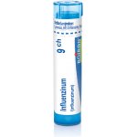 INFLUENZINUM POR 9CH GRA 1X4G – Hledejceny.cz