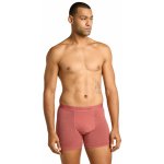 Icebreaker Mens Mer 150 Anatomica Boxers Explore More Plume/Aop – Zboží Dáma