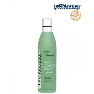 Hanscraft Wellness Spearmint 245ml – Hledejceny.cz
