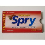 SPRY Žvýkačky s Xylitolem Skořice 10ks – Zboží Dáma