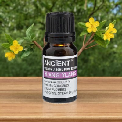 Ancient Ylang ylang iii eseciální olej 10 ml – Hledejceny.cz