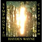 Wayne Hayden - Symphony #11 - Carpe Diem CD – Hledejceny.cz