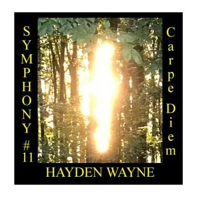 Wayne Hayden - Symphony #11 - Carpe Diem CD – Hledejceny.cz