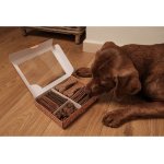 Fitmin Purity Snax Vánoční bonboniéra pro psy 500 g – Zbozi.Blesk.cz