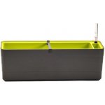 Plastia Berberis samozavlažovací truhlík 60 x 19,5 cm antracit/ zelený – Hledejceny.cz