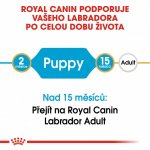 Royal Canin Labrador Retriever Puppy 3 kg – Hledejceny.cz