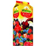 Pfanner Nektar B-C-E lesní plody 30% 2 l – Zboží Mobilmania