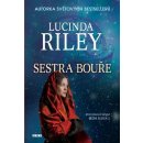 Sestra bouře – rodinná sága Sedm sester 2 - Riley Lucinda