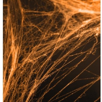 PartyDeco PAVUČINA HALLOWEEN oranžová – Zboží Dáma
