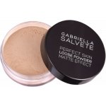 Gabriella Salvete Perfect Skin Loose Powder Matující pudr 02 6,5 g – Zboží Mobilmania