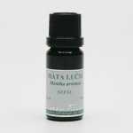 Nobilis Tilia éterický olej Máta luční 10 ml – Hledejceny.cz