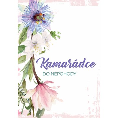 Přání kamarádce do nepohody – Zboží Mobilmania