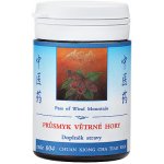 TCM Herbs Průsmyk větrné hory 100 tablet – Hledejceny.cz