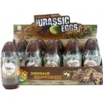 Skládací kostra dino 10 bal – Hledejceny.cz