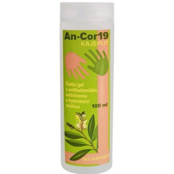 Day Spa An-cor19 s antibakteriální antivirovou a hydratační složkou bez alkoholu 100 ml
