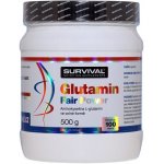 Survival Glutamin fair power 500 g – Hledejceny.cz