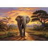 Tapety Postershop Fototapeta vliesová Animals Elephant Safari rozměry 208x146 cm