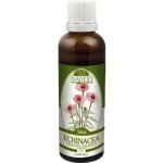 Naděje Echinacea tinktura z byliny 50 ml – Hledejceny.cz