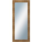 DANTIK TRITON 50 x 120 cm zlatý 2952 – Hledejceny.cz