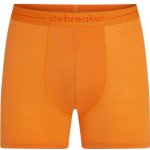 Icebreaker Mens Anatomica Boxers Ray – Zboží Dáma
