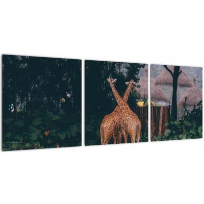 Obraz dvou žiraf, třídílný 90x30 cm – Hledejceny.cz
