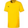 Fotbalový dres Puma Team Goal 23 Jersey Jr 70416007