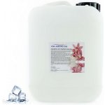 PM Aqualog esence do parních kabin blue ice 958-005/D 5 l – Hledejceny.cz