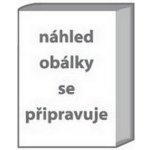 Christie : Detektivní hry 2 Černá káva, A pak už tam nezbyl ani jeden, Poslední víkend - Christie Agatha – Hledejceny.cz