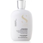 Alfaparf Milano Semi di Lino Diamond Illuminating Shampoo 250 ml – Zboží Dáma