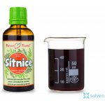 Bylinné kapky Oční sítnice 50 ml – Hledejceny.cz