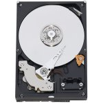 WD Blue 250GB, 7200rpm, UATA, 8MB, WD2500AAJB – Hledejceny.cz