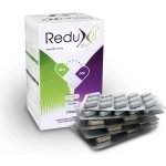 Apotex Reduxil Duo 60 tablet – Hledejceny.cz