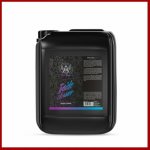 RRCustoms Bad Boys Inside Cleaner Boys Parfume 5 l – Sleviste.cz