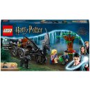 LEGO® Harry Potter™ 76400 Bradavice: Kočár a testrálové