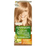 Garnier Color Naturals světlá blond popelavá 8.1 – Hledejceny.cz