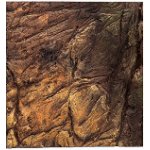 ATG pozadí Shrimp Pupe 25 x 30 cm – Zboží Dáma