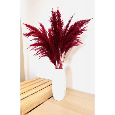 Sušená pampová tráva (pampas) vínová svazek 10ks, 50cm-60cm – Hledejceny.cz