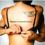 Aerosmith - Young lust - The Anthology CD – Hledejceny.cz
