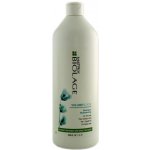 Matrix Biolage VolumeBloom Shampoo 1000 ml – Hledejceny.cz