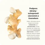 Vilgain Immunity Booster 90 kapslí – Hledejceny.cz