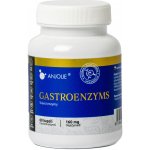 Anjolie GastroEnzyms 60 kapslí – Hledejceny.cz
