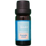 Venoc Esenciální olej Anýz 10 ml – Hledejceny.cz