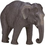 Mojo Slon Indický – Zboží Mobilmania