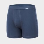 Cornette Authentic Perfect boxerky – Hledejceny.cz
