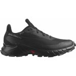 Salomon dámské nízká obuv ALPHACROSS 5 GTX W L47310900 černá – Zboží Dáma