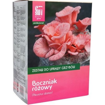 PLANTO Hlíva růžová 1 kg – Zboží Mobilmania
