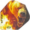 Letky na šipky Bull's NL Animal 100 - Bear - No6 - BU-50733