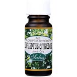 Saloos esenciální olej Eukalyptus Citriodora 10 ml – Zbozi.Blesk.cz